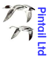 Pintail LTD